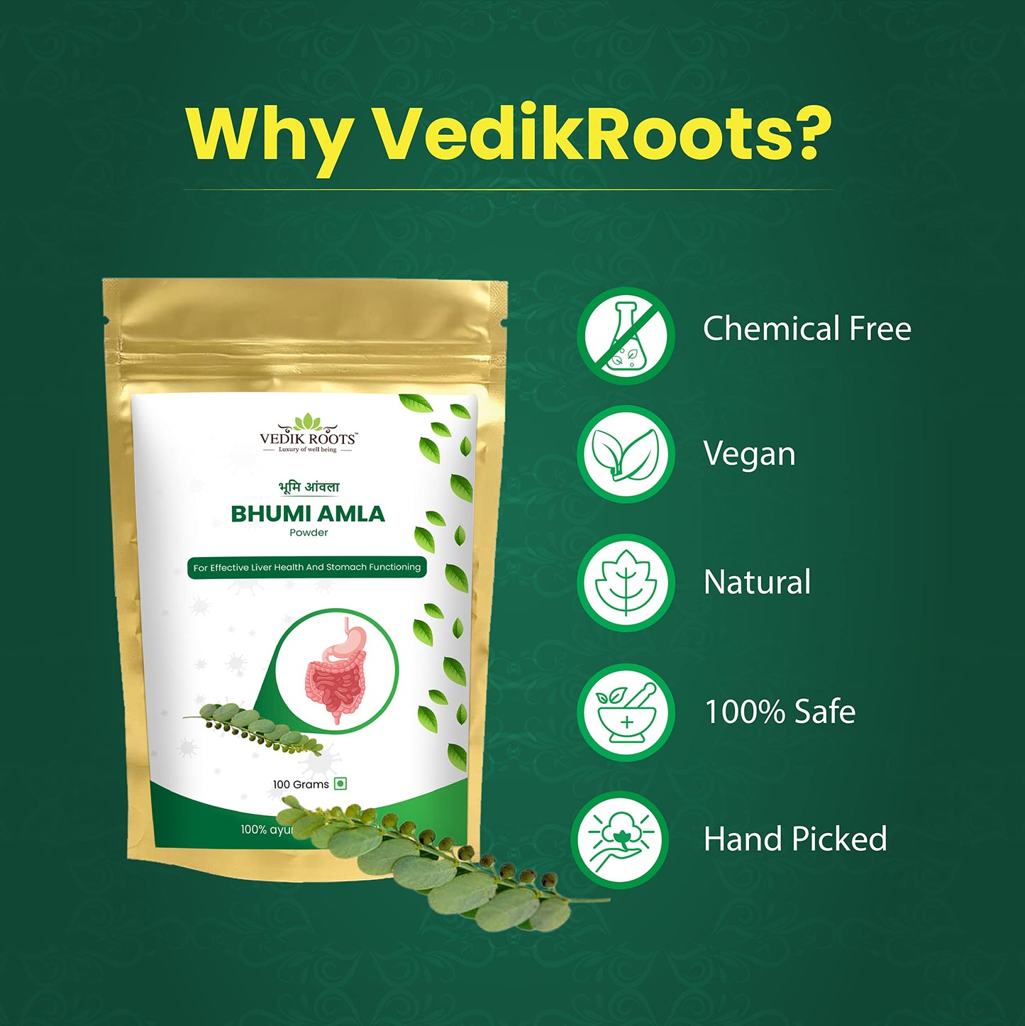 Polvo Bhumi Amla antioxidante Ayurvédico Vedikroots