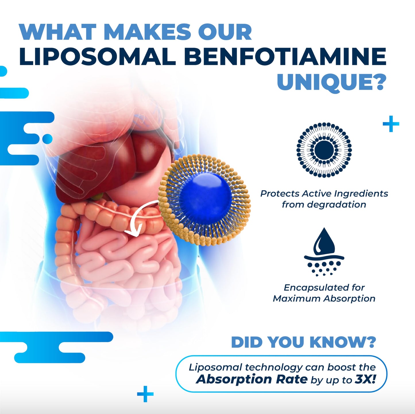 Presentación Nurafuse suplemento liposomal benfotiamina