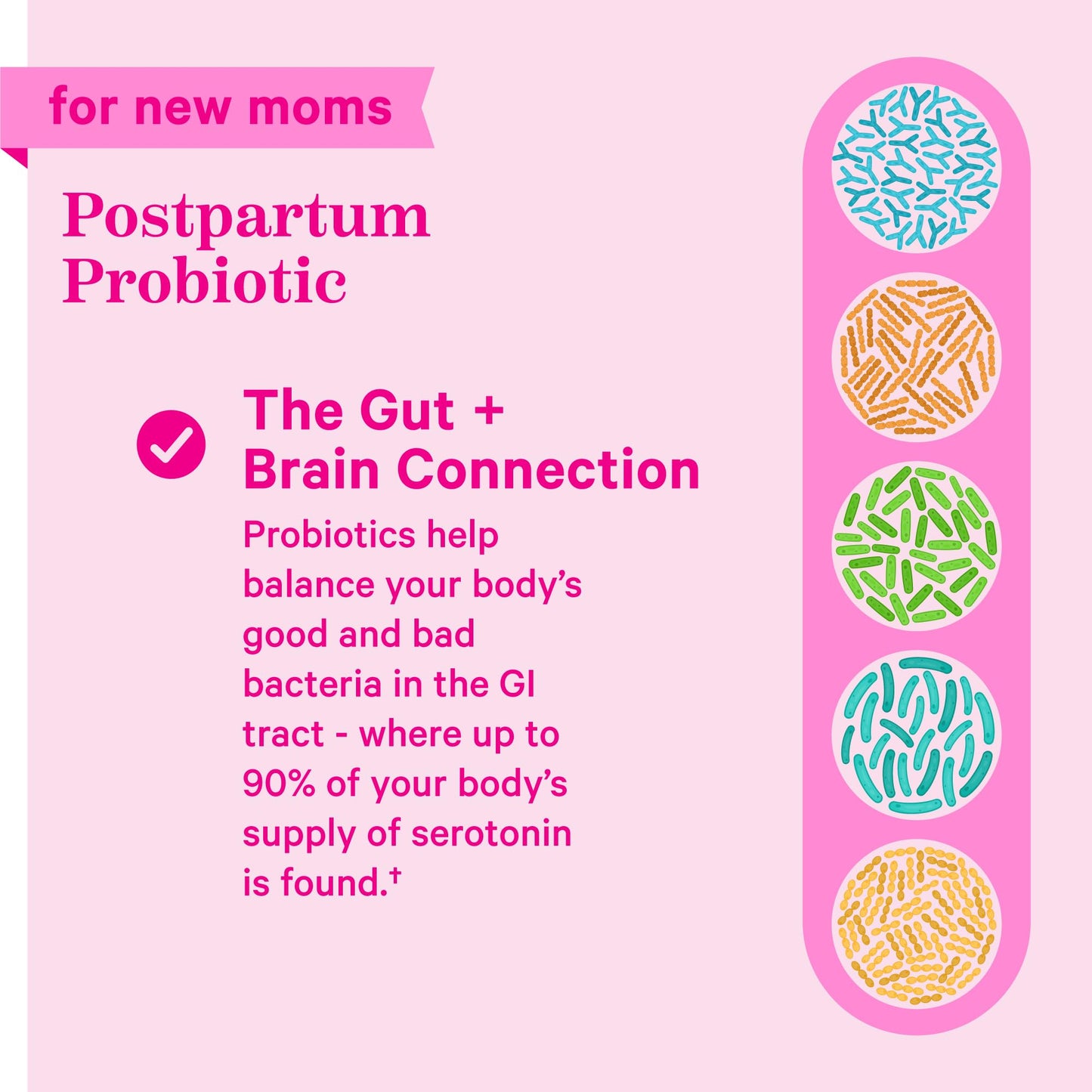 Probióticos postnatales Pink Stork para conexión intestinal y cerebral