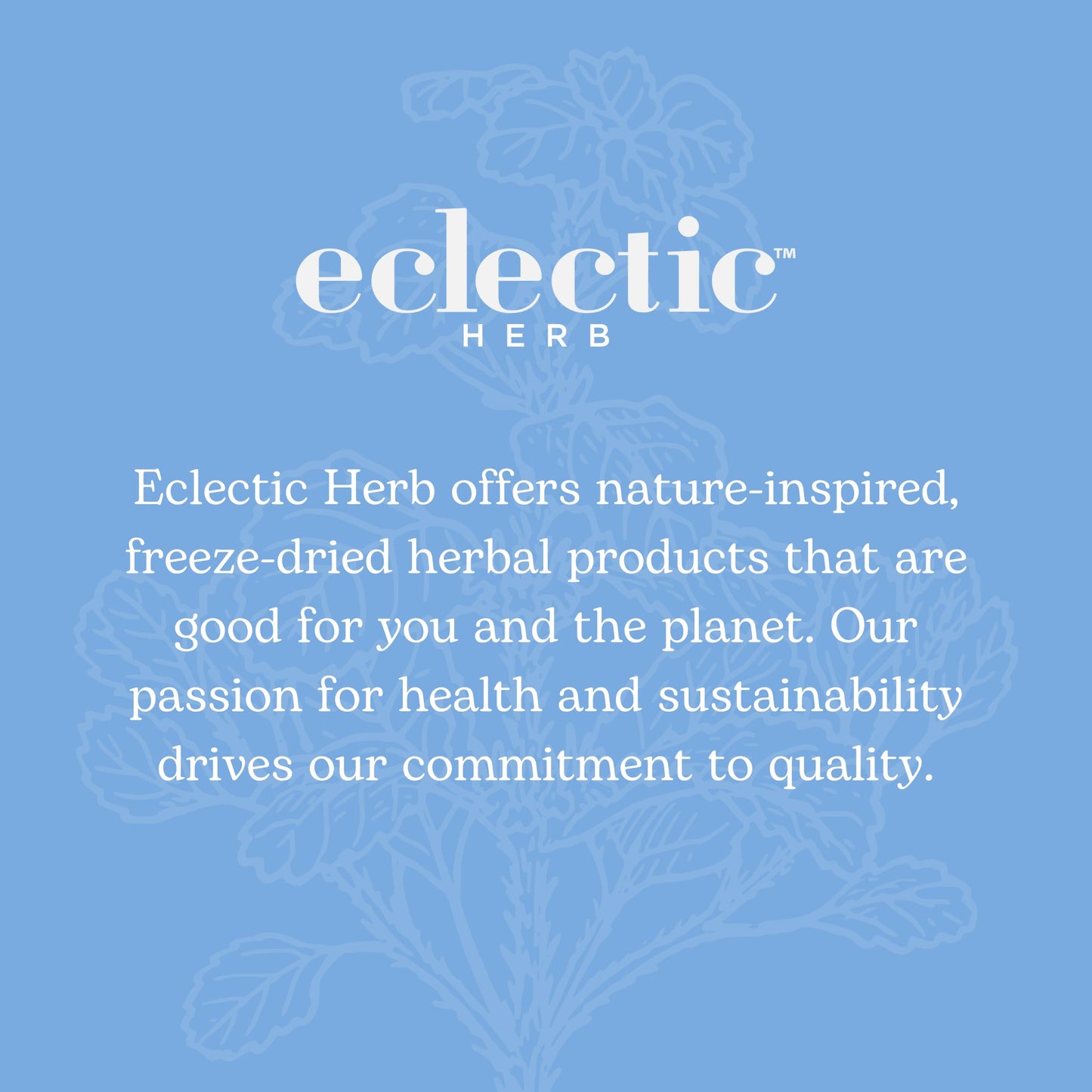 Raíz de cardo Eclectic, producto ecológico y kosher