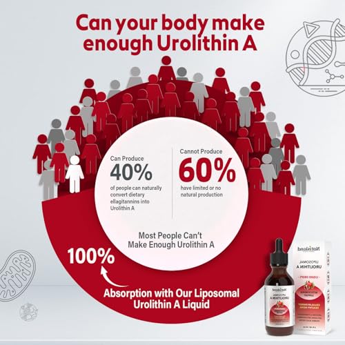 Soporte antioxidante y anti-envejecimiento con Urolitina A NATISLAND