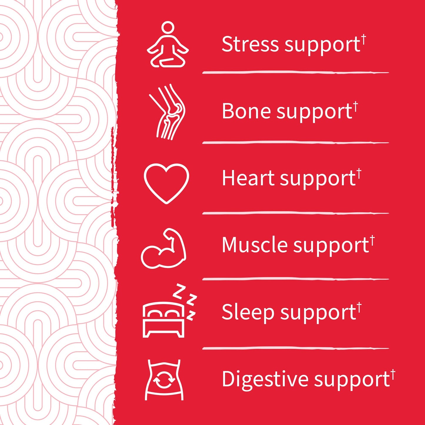 soporte para estrés, huesos, corazón, músculo, sueño y digestión en producto Garden of Life