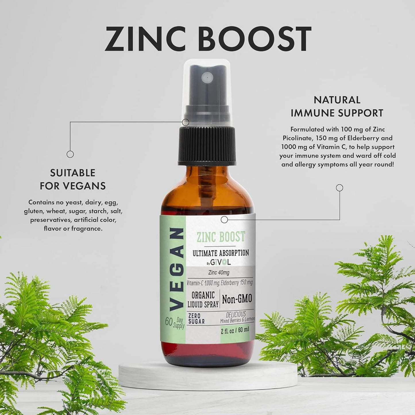 Spray GIVOL vitamina B12 y zinc para salud integral