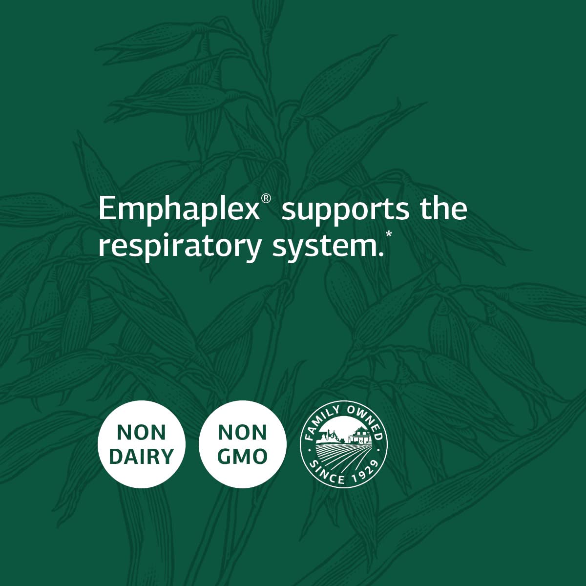 Standard Process Emphaplex cápsulas para soporte respiratorio
