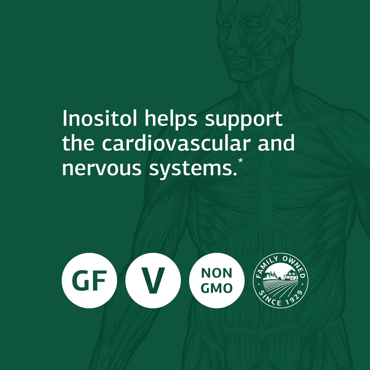 Standard Process inositol vegetariano sin gluten 90 tabletas