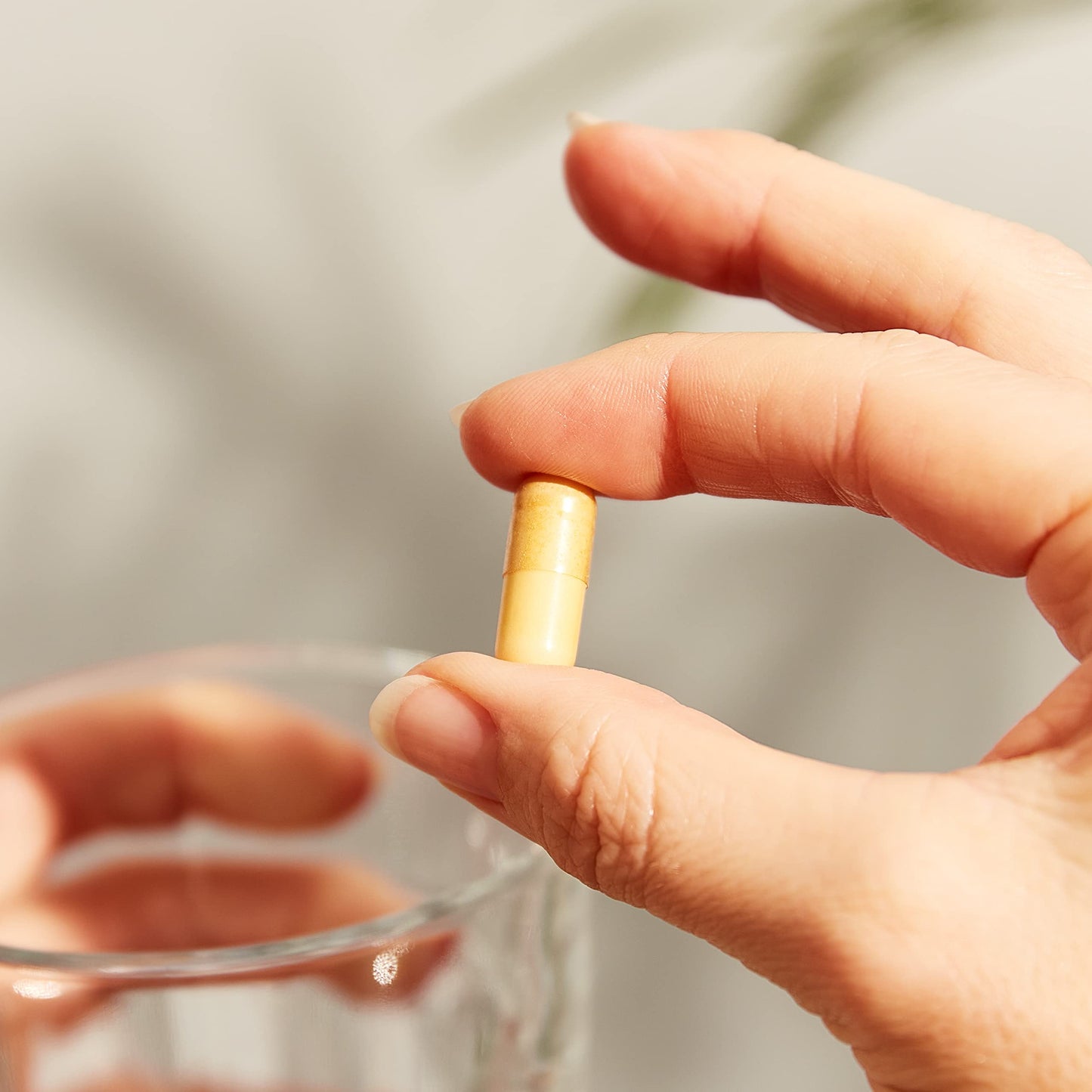 Suplemento antioxidante solgar vitamina c cápsulas vegetales