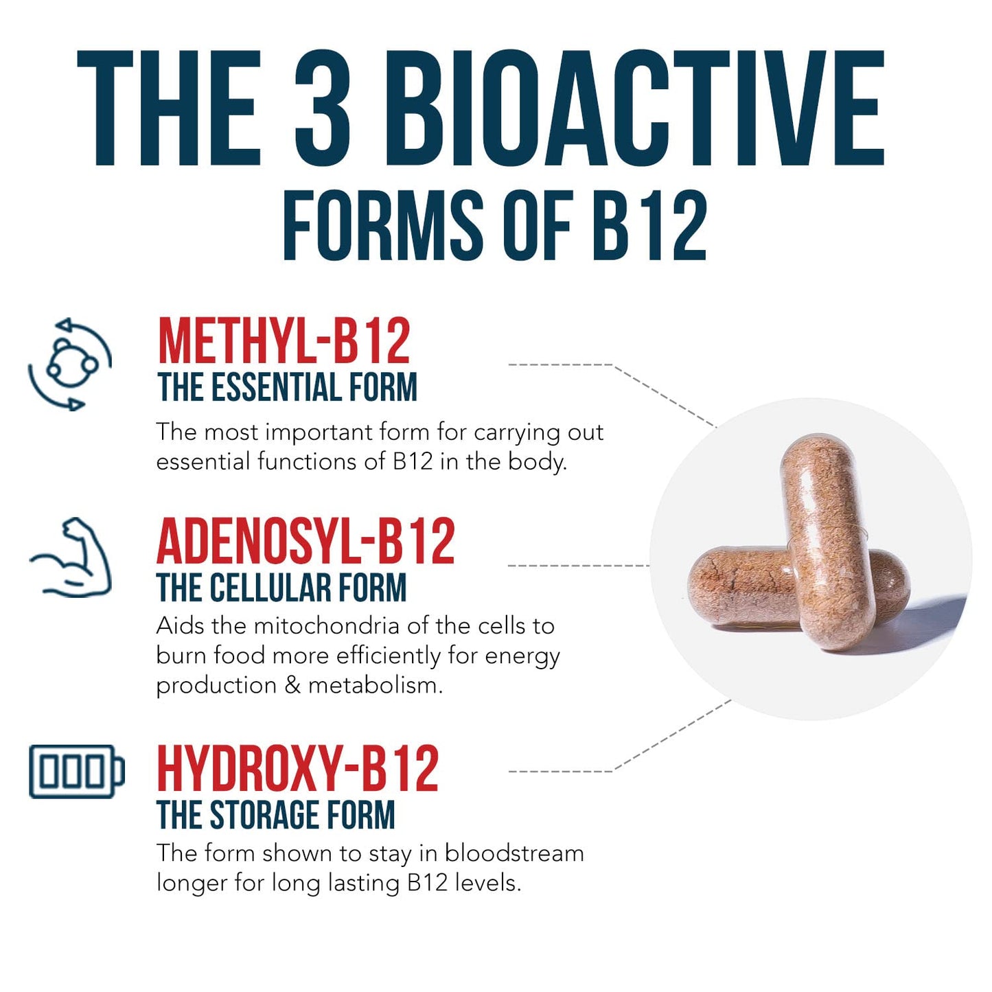 Suplemento b12 BioActive con metilfolato cofactor