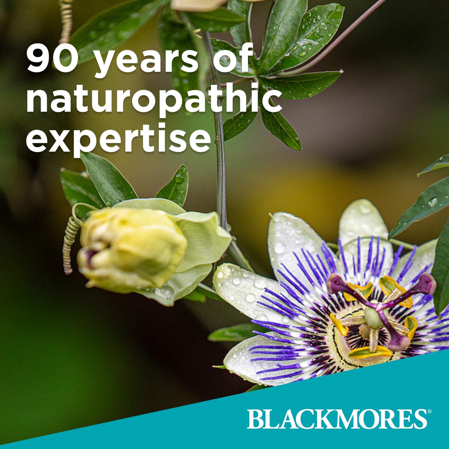 Suplemento Blackmores B12 Rapi-Melt 1000mcg