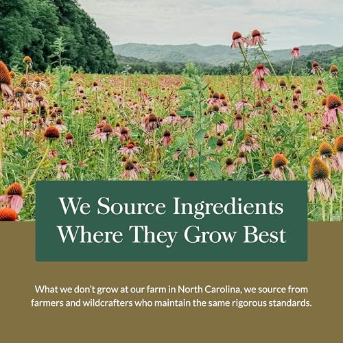 Suplemento Gaia Herbs Fenogreco para producción leche materna