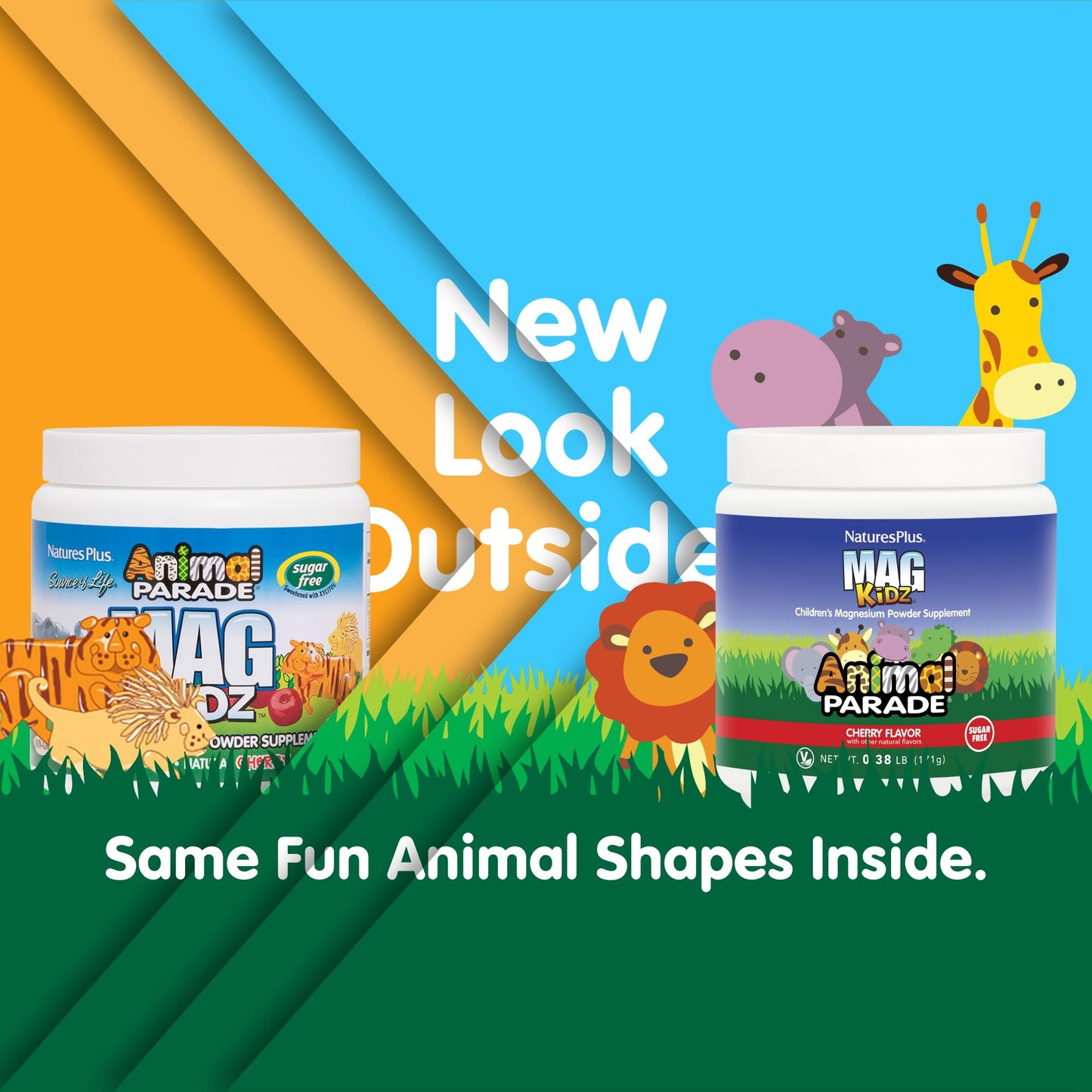 Suplemento MagKidz magnesio para niños frasco polvo