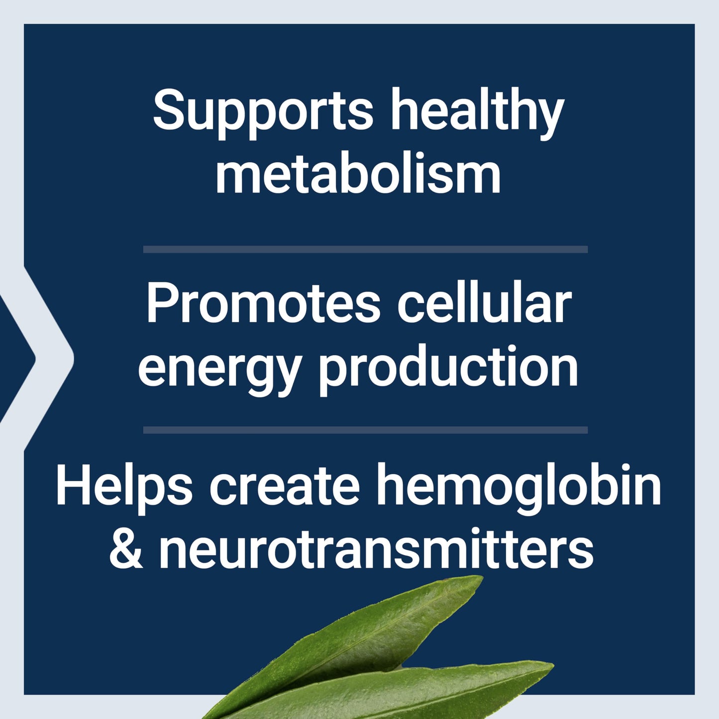 Suplemento metabolismo energía Life Extension