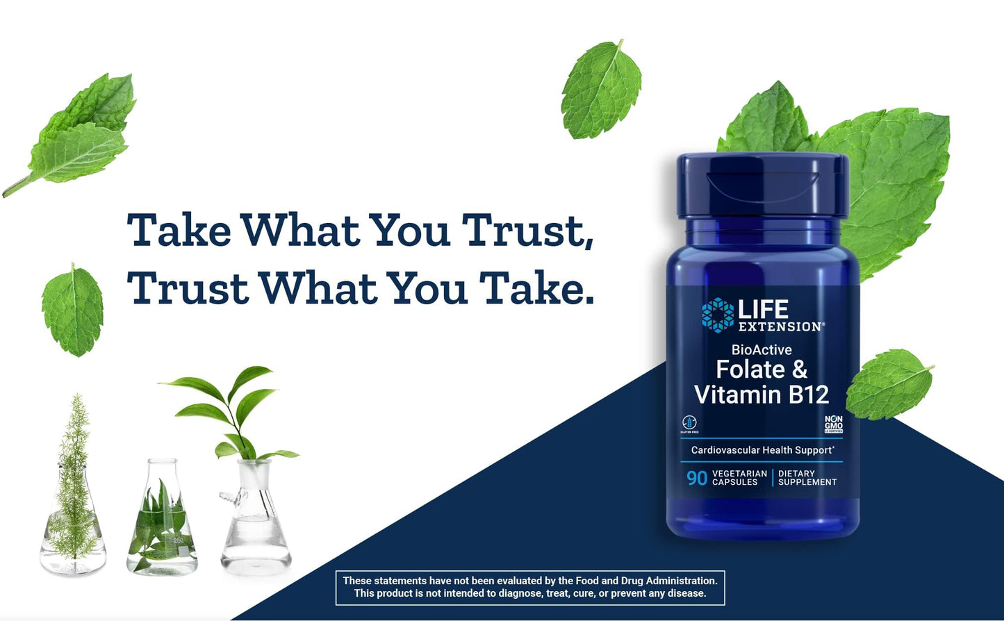 Suplemento para salud cerebral y piel Life Extension
