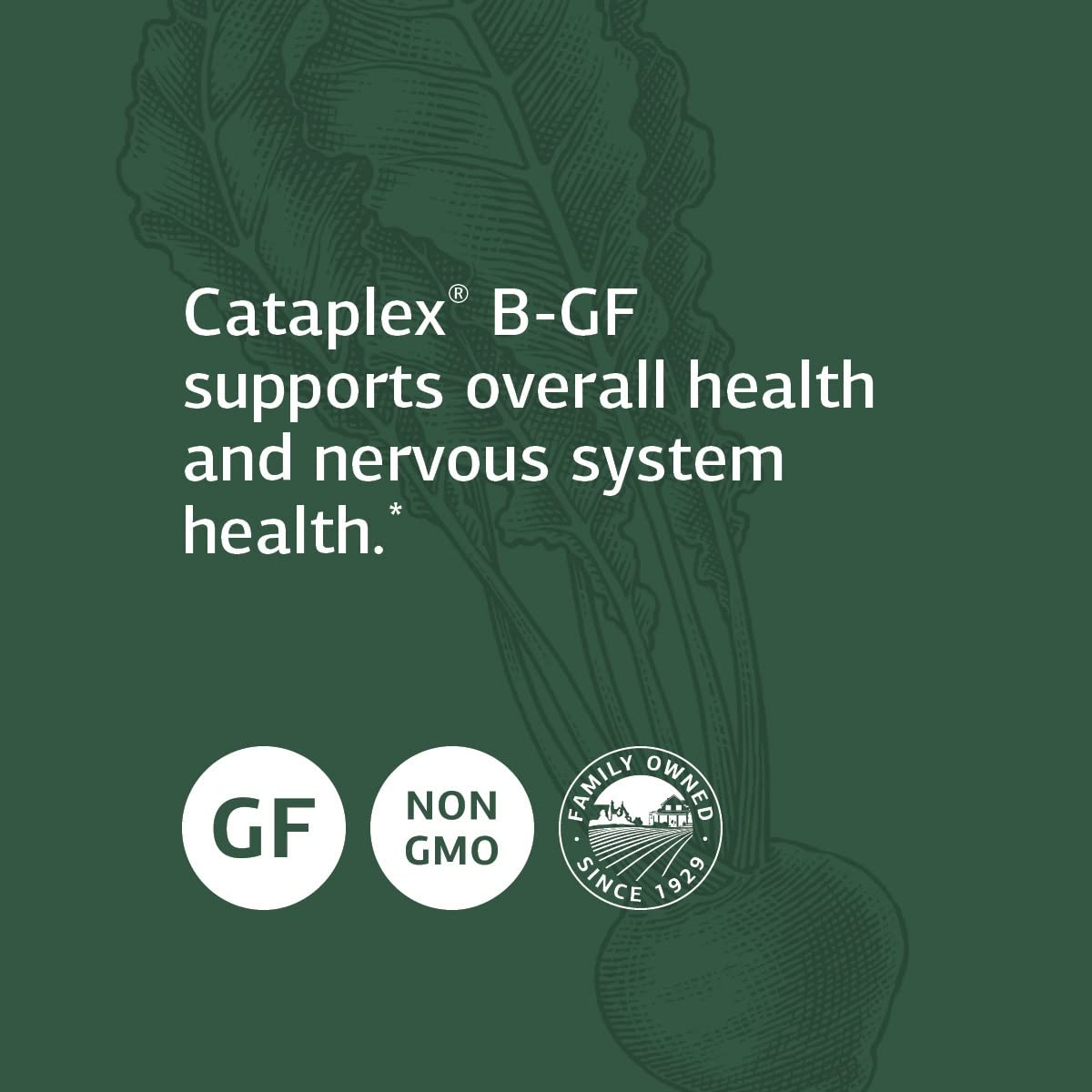 Suplemento Standard Process Cataplex B GF paquete frontal