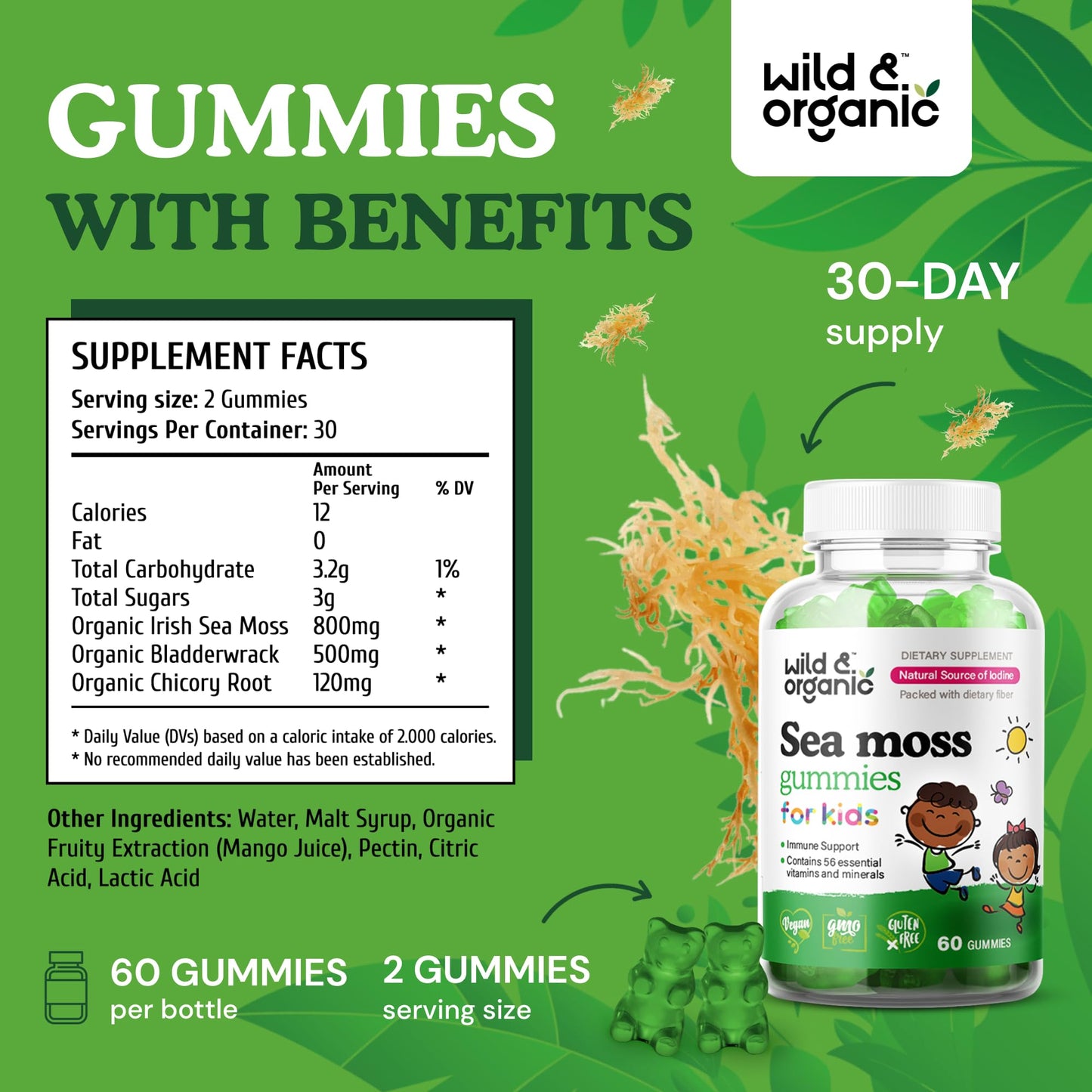 suplemento vegano nutricional Wild & Organic