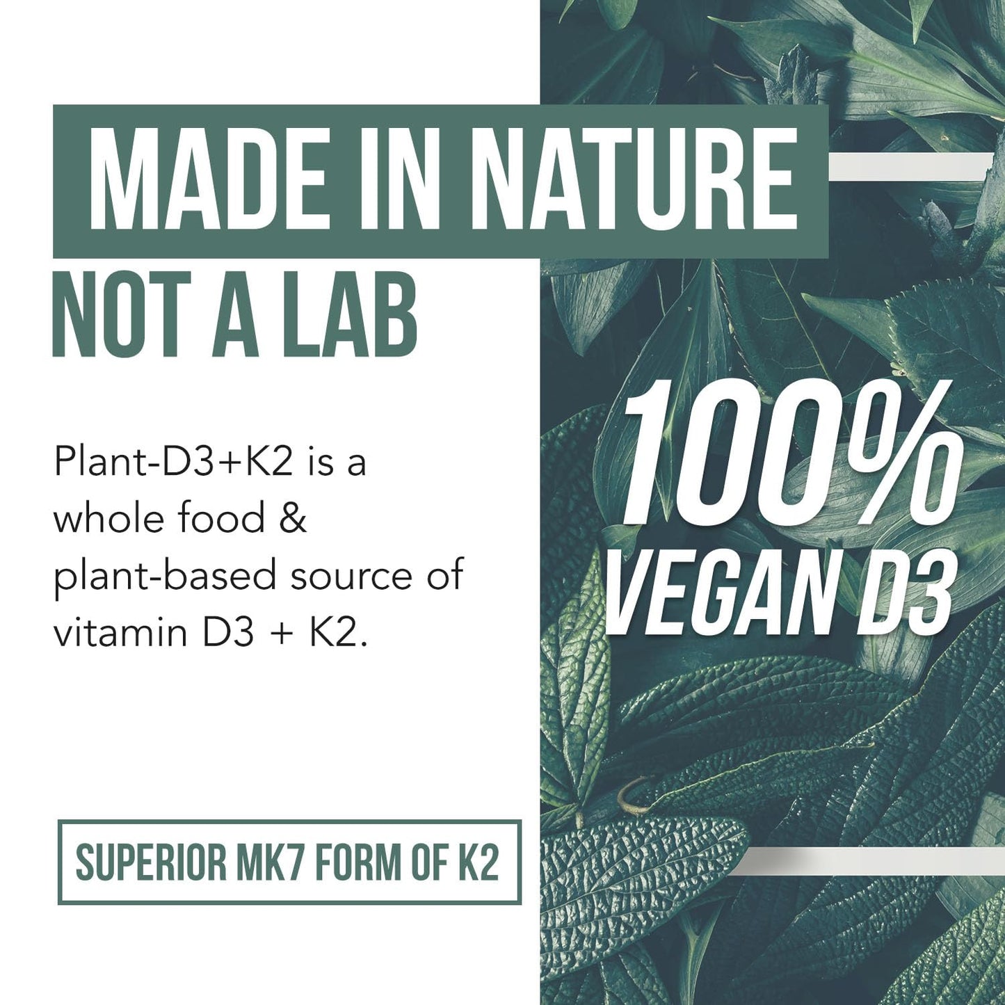 Suplemento natural de vitamina D3 y K2 para salud ósea