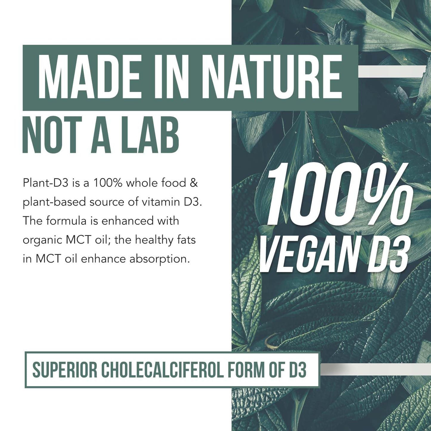 Suplemento de Vitamina D3 vegana