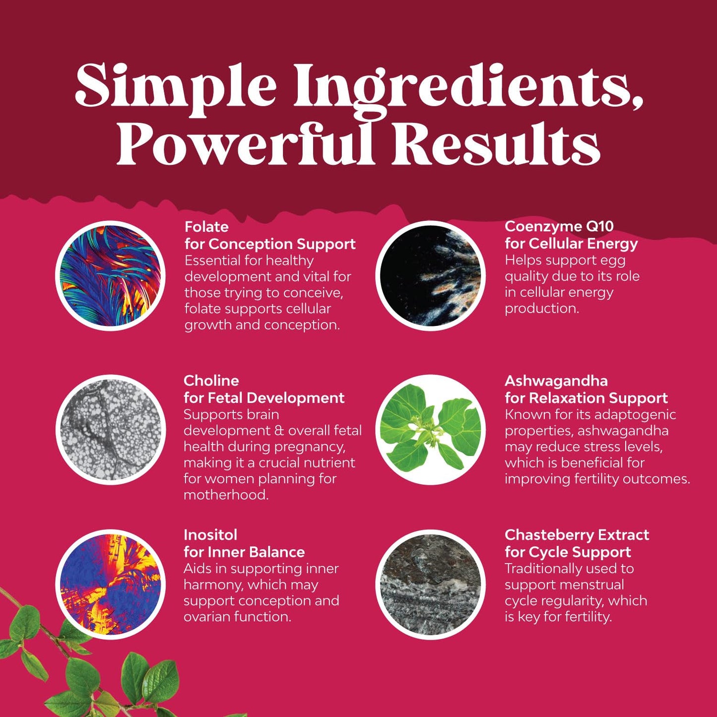 Suplemento vitamínico para fertilidad femenina con ingredientes naturales