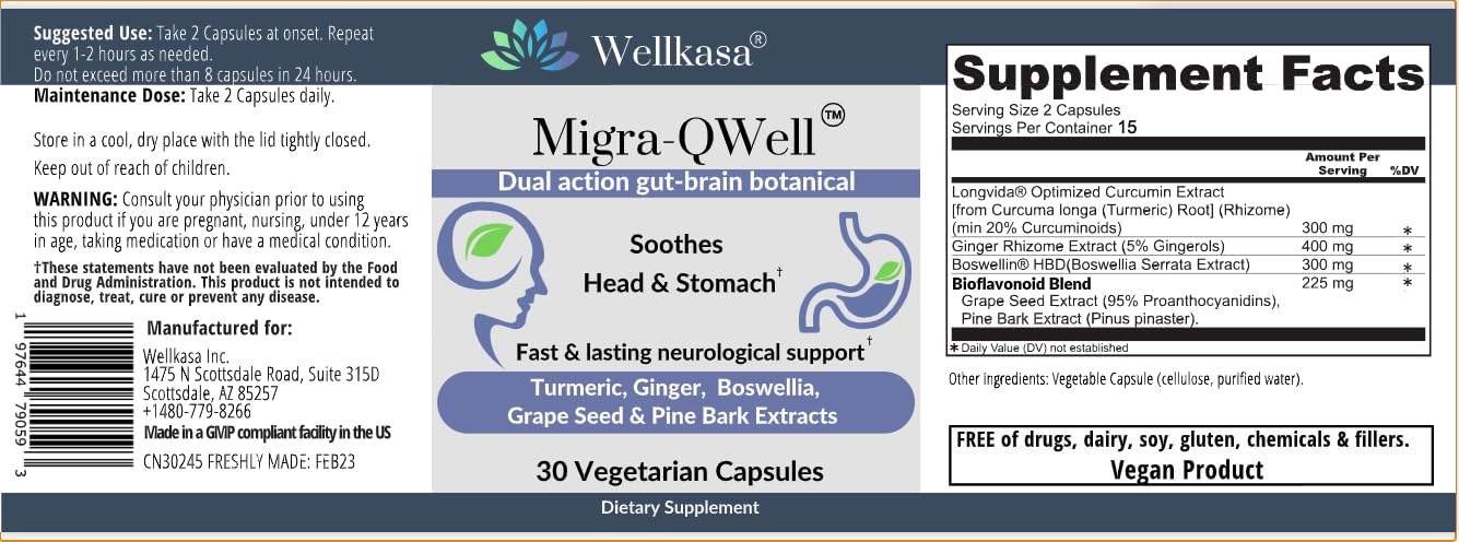 Suplementos naturales para salud cerebral e intestinal