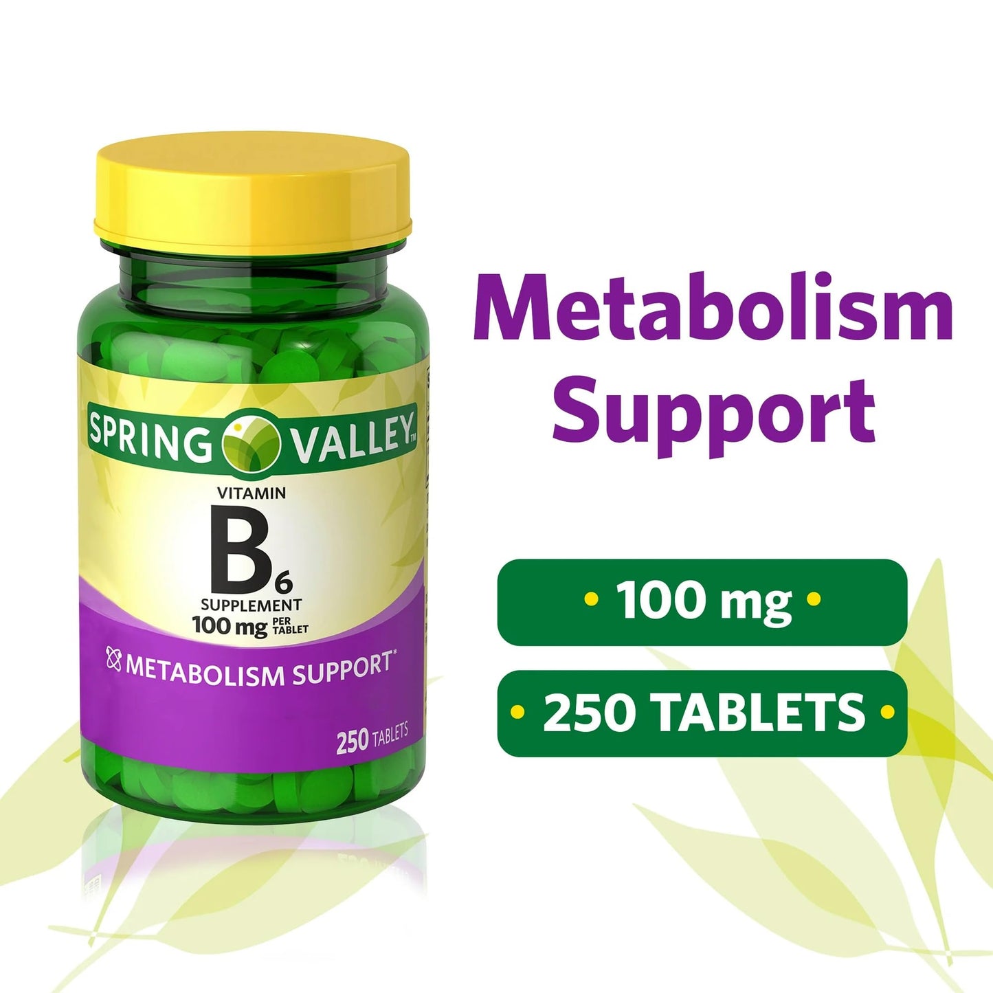 Tabletas vitamina B6 suplemento dieta 100 mg