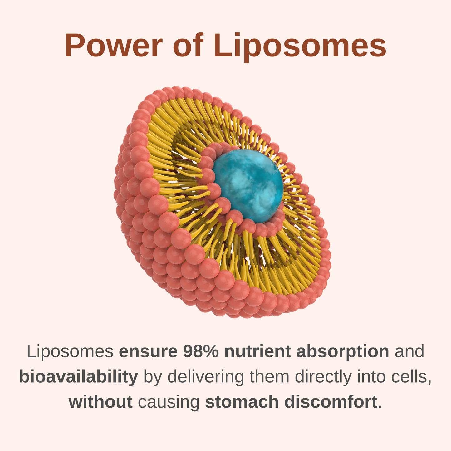 Técnica liposomal en multivitamínico para hombres.