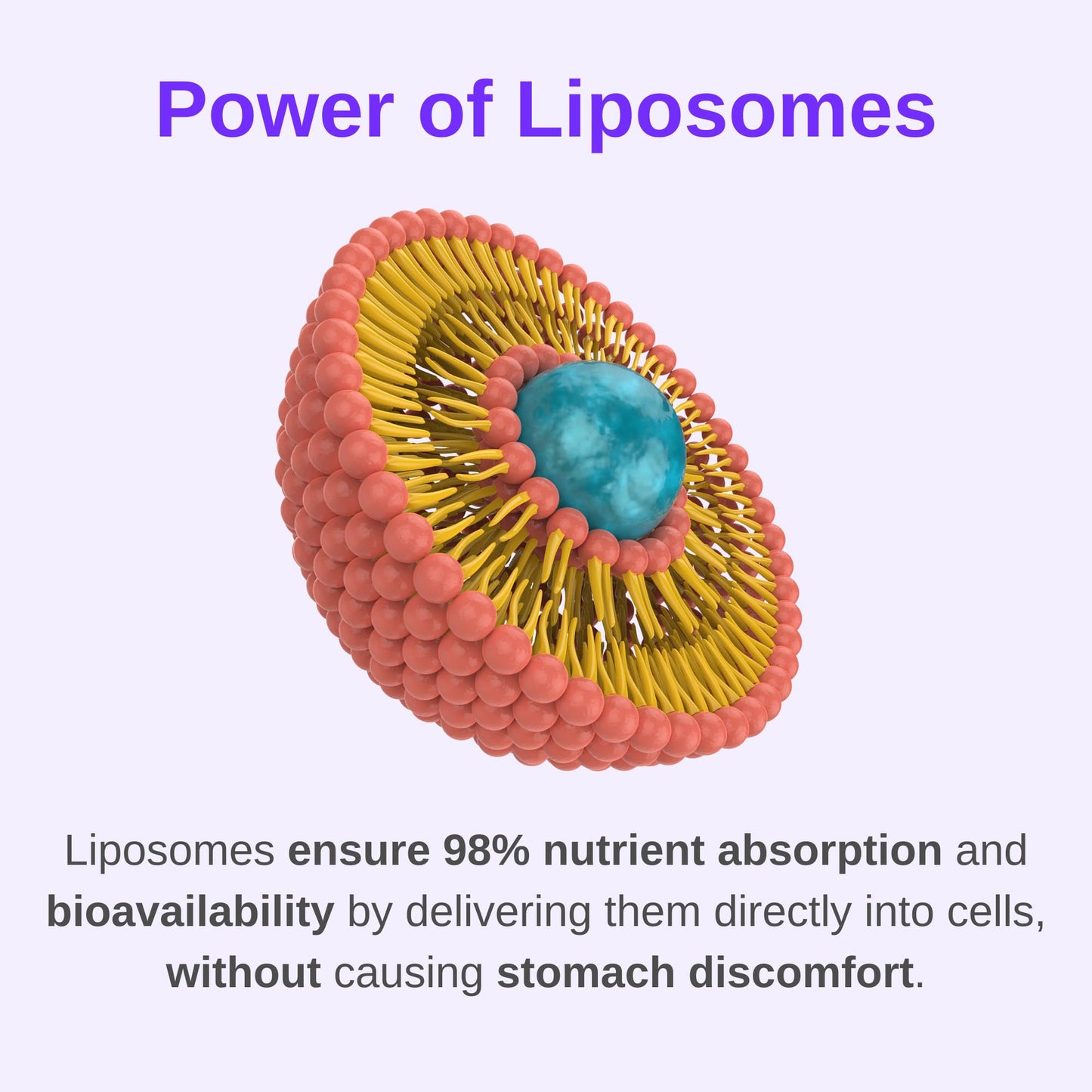 Tecnología liposomal en multivitamínico Vitaminally