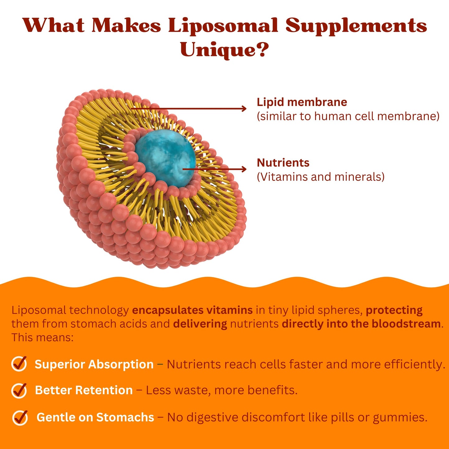 Tecnología liposomal del multivitamínico.