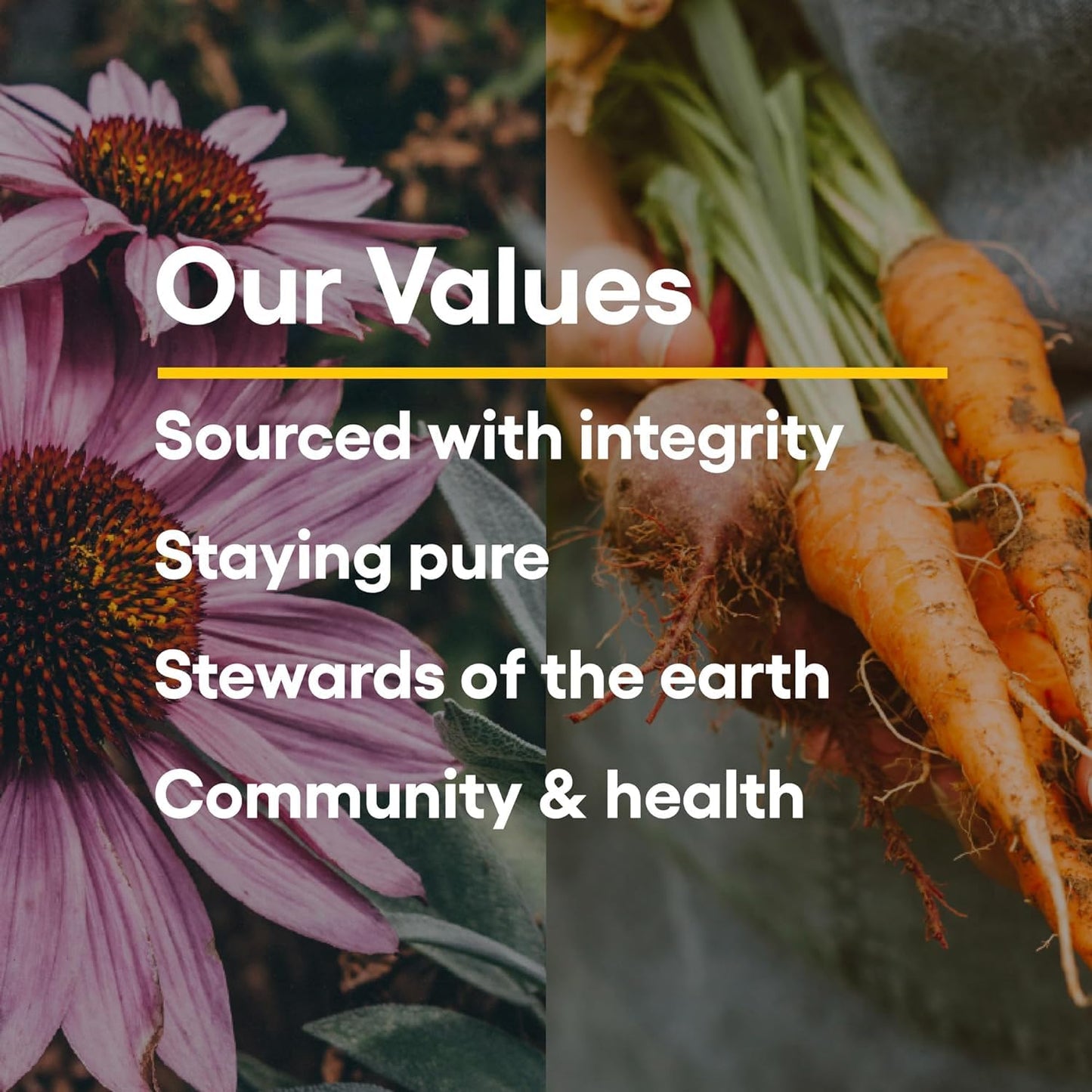 Valores y origen responsable de natural factors
