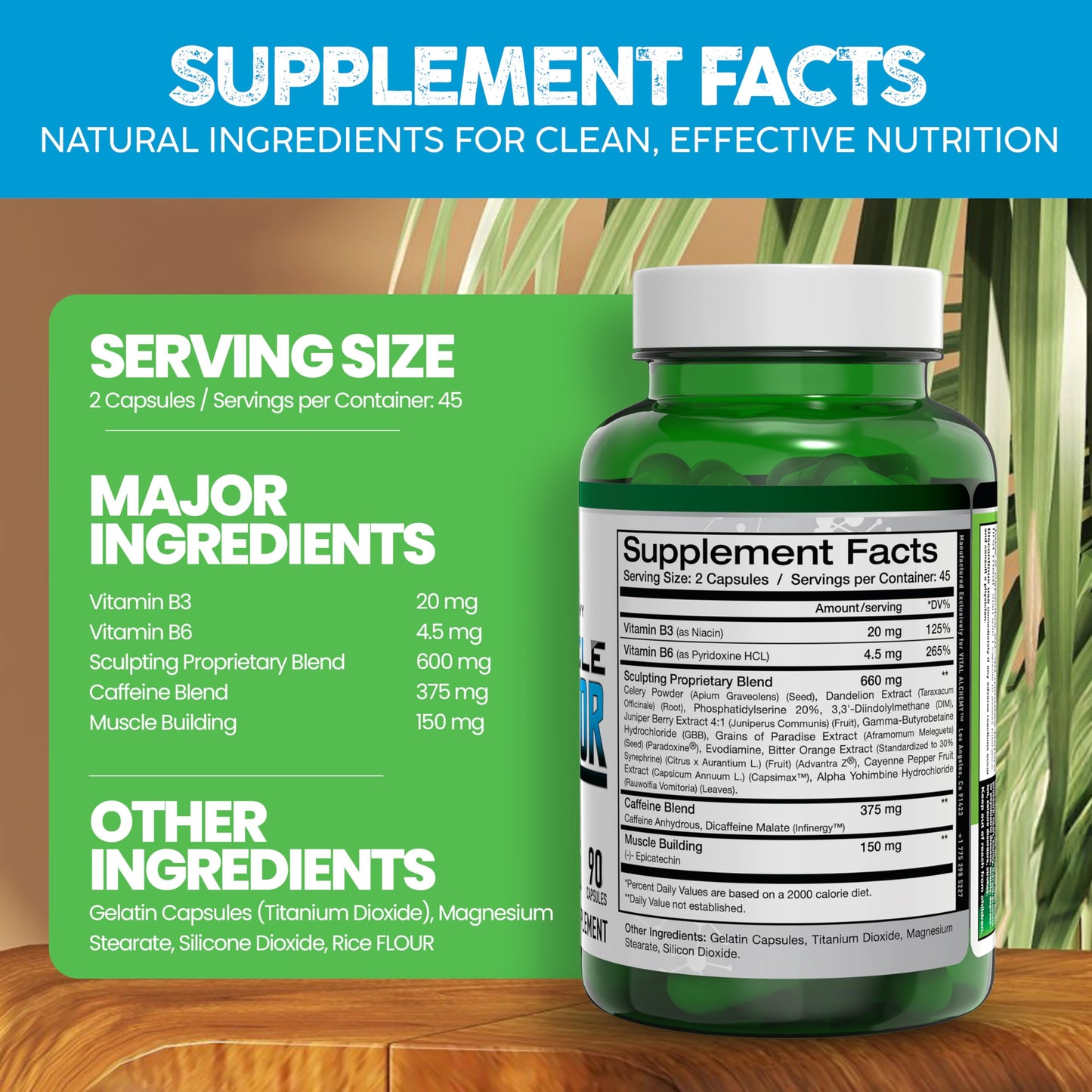 envase suplemento vital alchemy the muscle sculptor