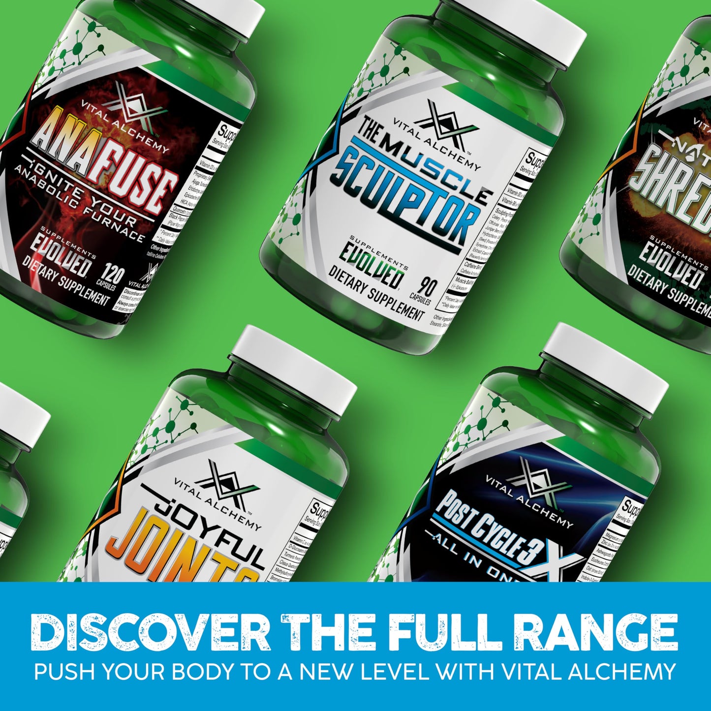 the muscle sculptor vital alchemy suplemento para musculo