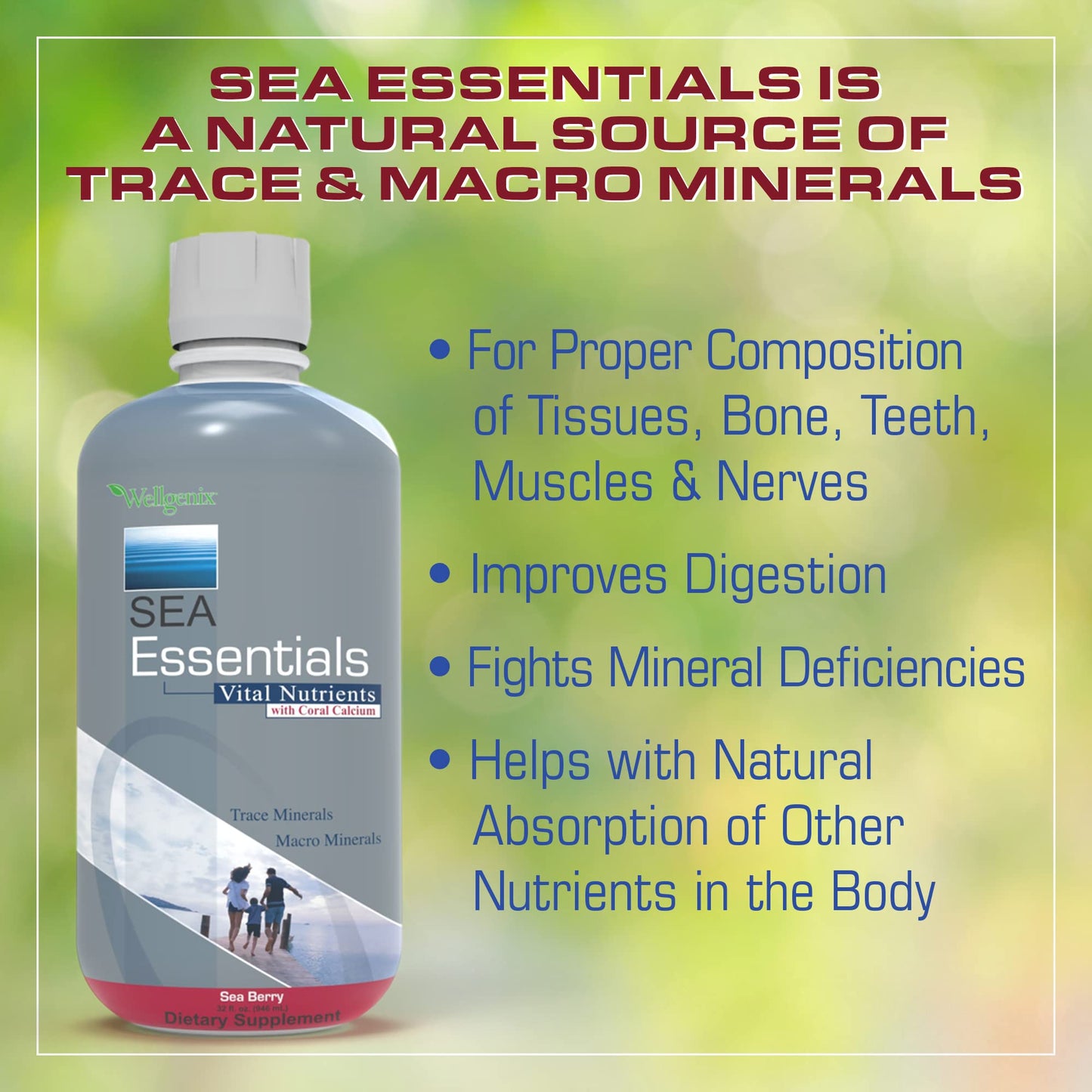 Etiqueta de Wellgenix Sea Essentials con ingredientes vegetación marina