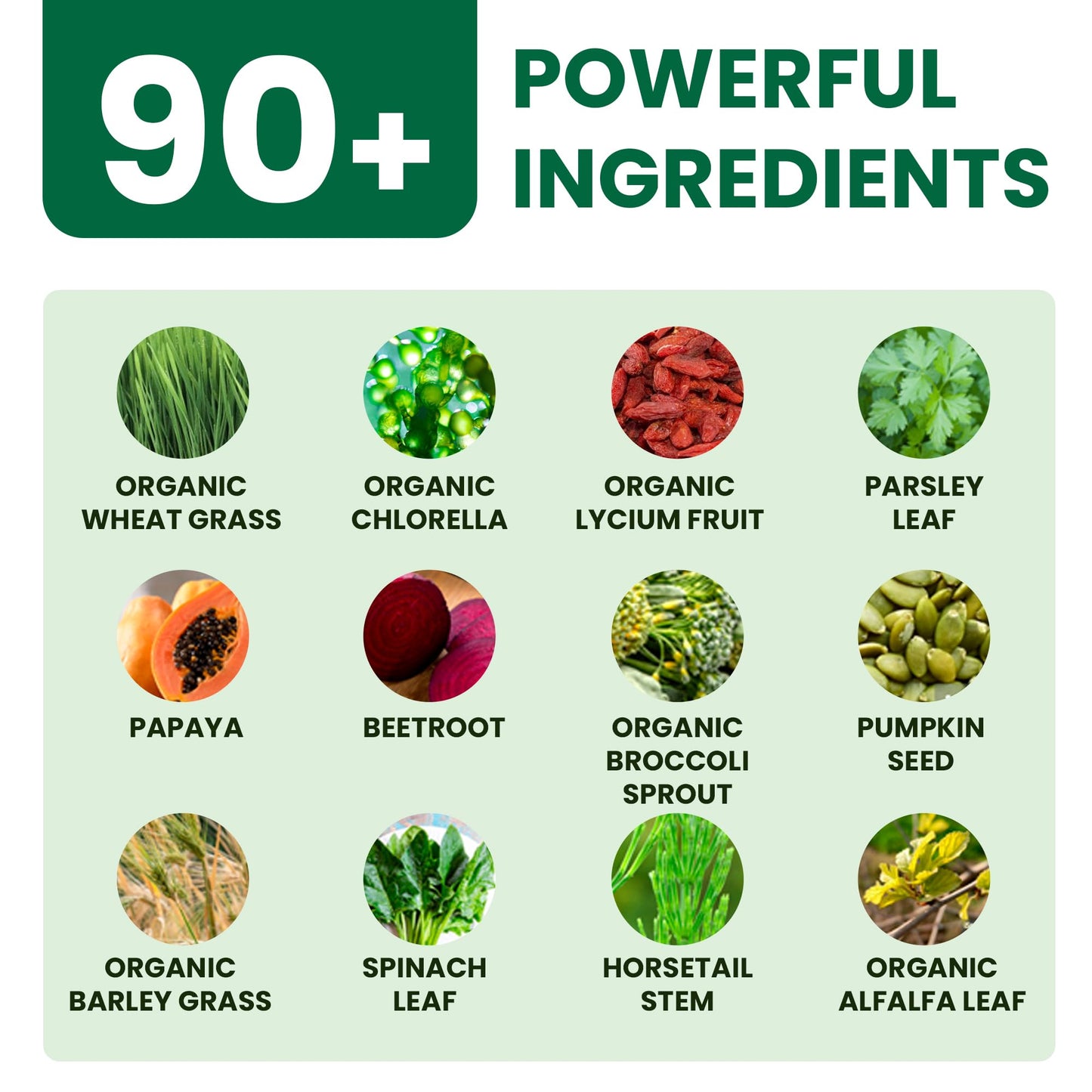 90 Ingredientes Poderosos en Polvo Superalimento