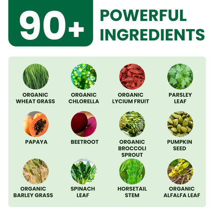 90 Ingredientes Poderosos en Polvo Superalimento