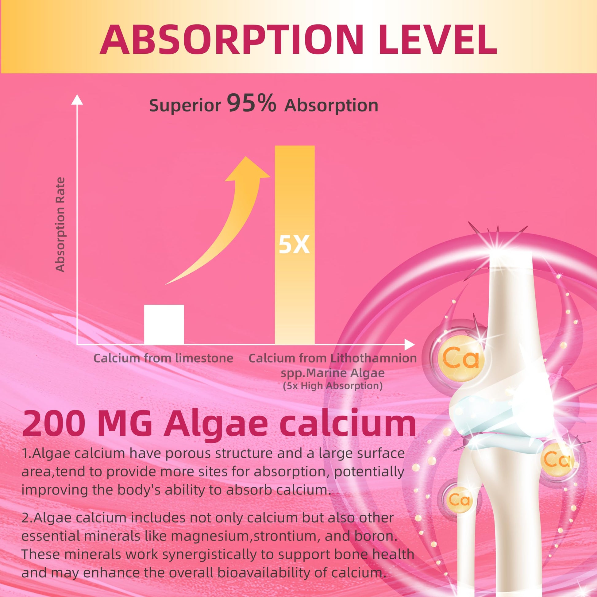 Nivel de absorción superior de las gomitas multivitamínicas para mujeres mayores de 40 años.