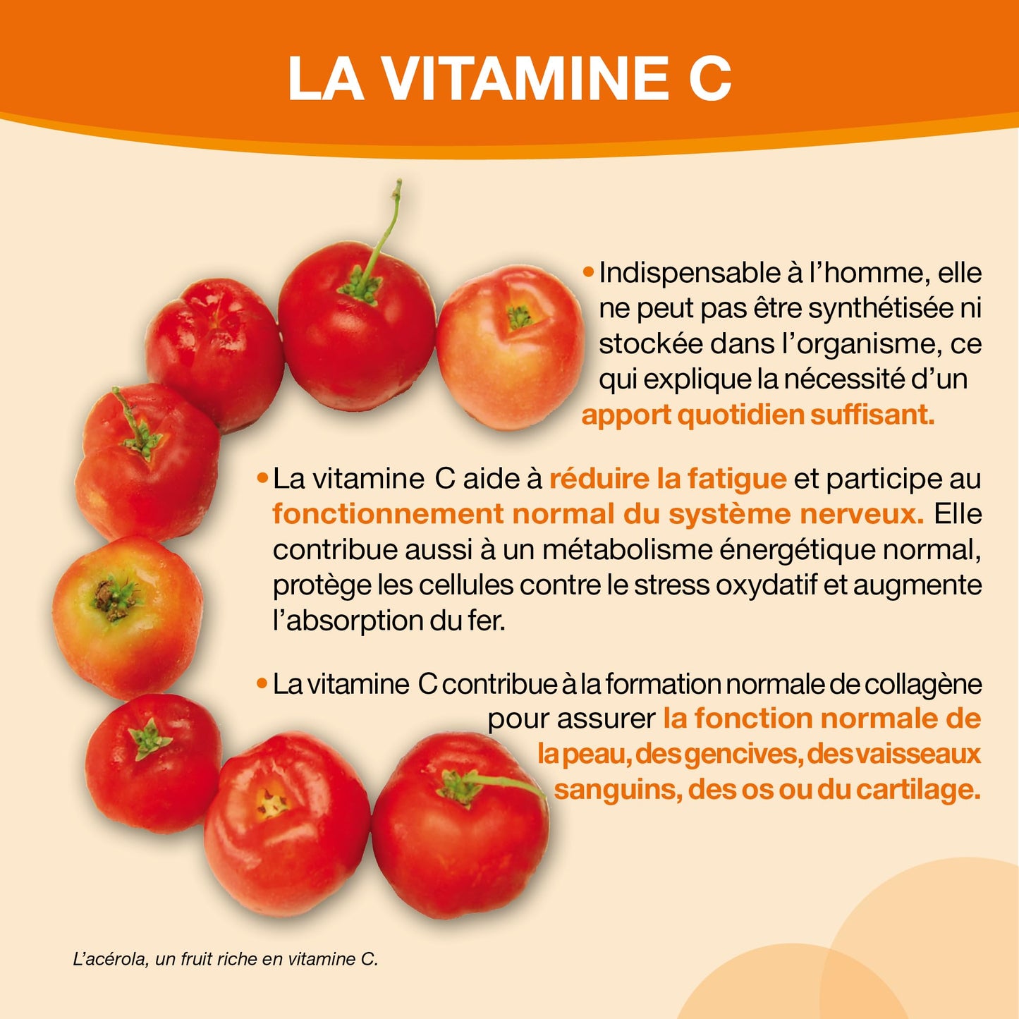 ACEROL C Nutergia 60 cápsulas