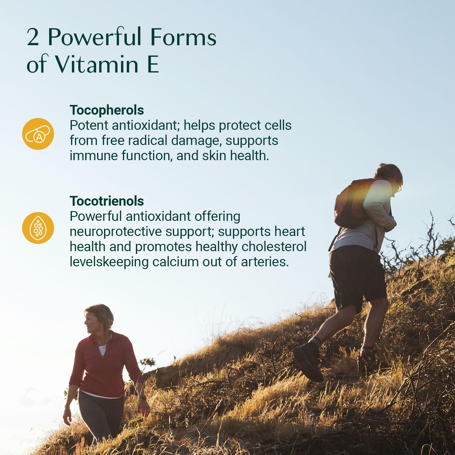 ALGAECAL suplemento completo 4 en 1 vitaminas