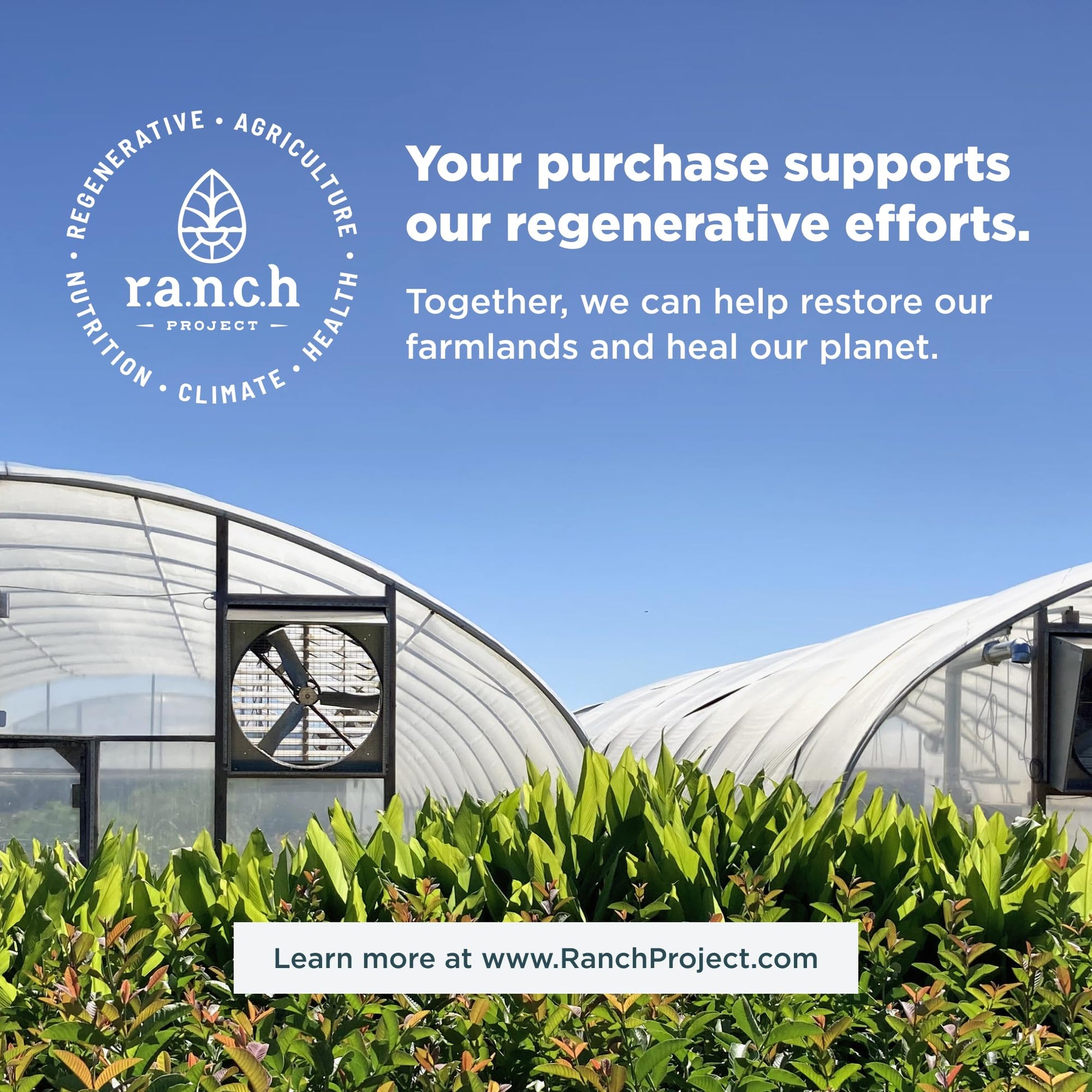 Apoyo a la regeneración agrícola con tu compra
