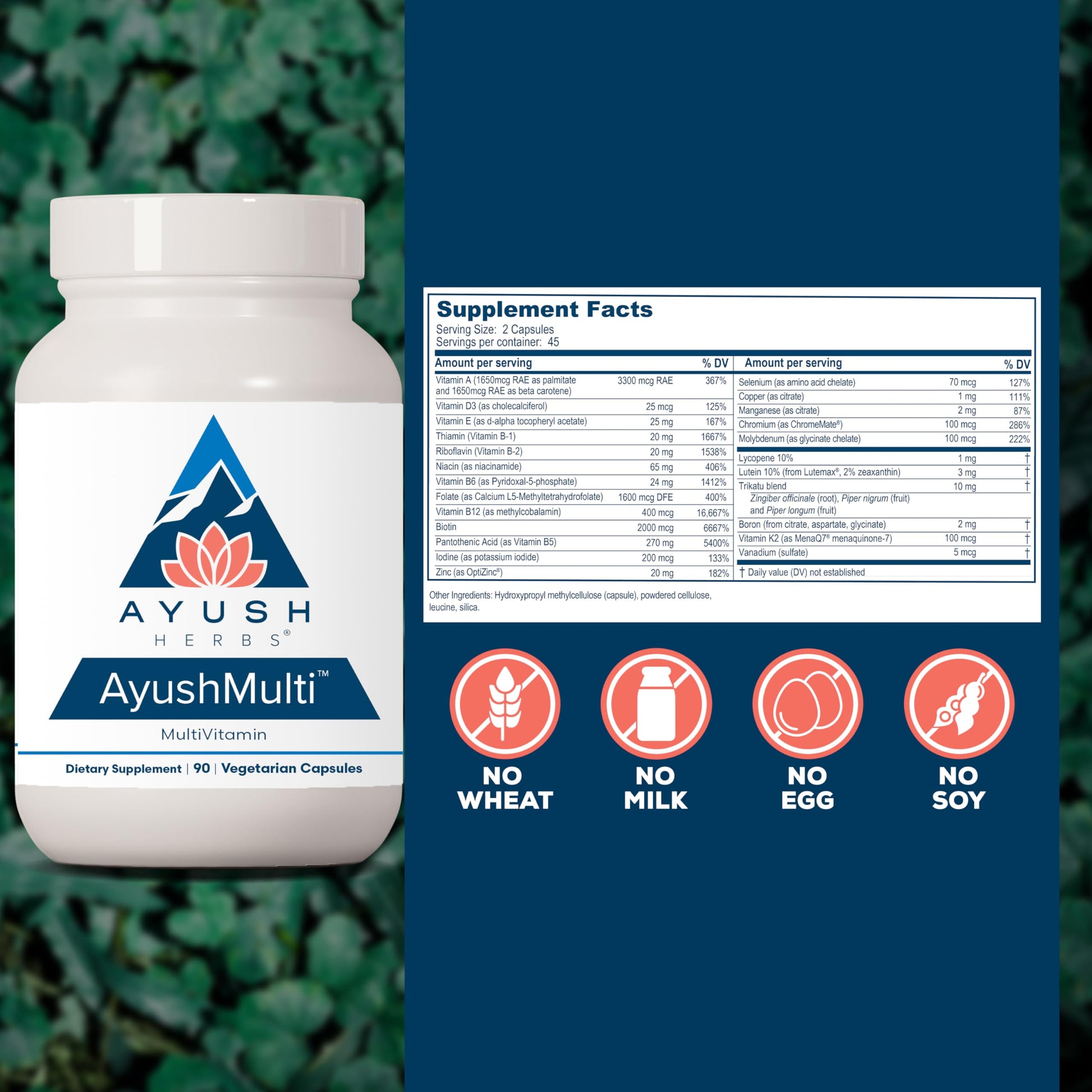 AyushMulti ingredientes suplementos herbales y antioxidantes