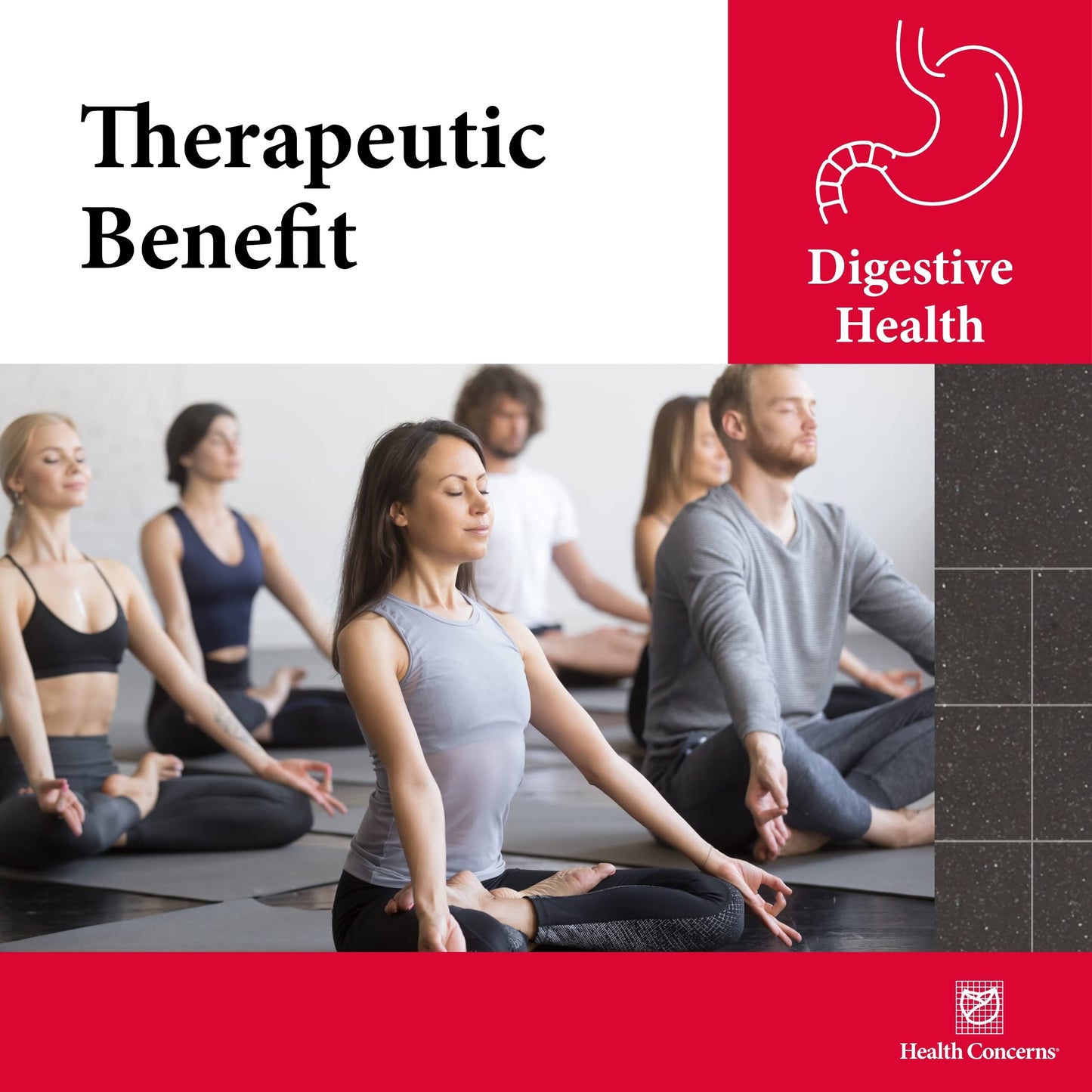 Beneficios terapéuticos del suplemento Shen Ling para la salud digestiva