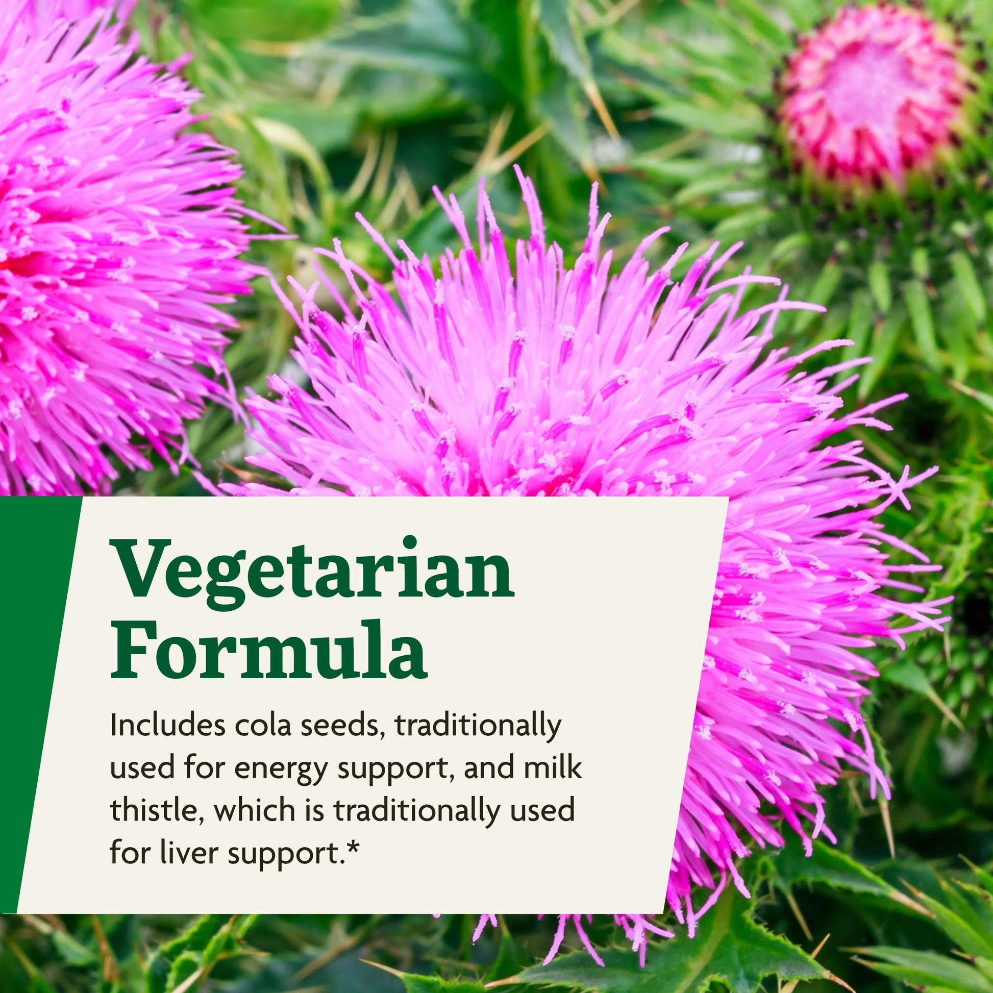 Botella y empaque Floradix Epresat multivitamínico