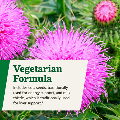 Botella y empaque Floradix Epresat multivitamínico