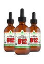 Botella de vitamina B12 líquida vegana RawGuru con etiqueta orgánica y sabor cítrico