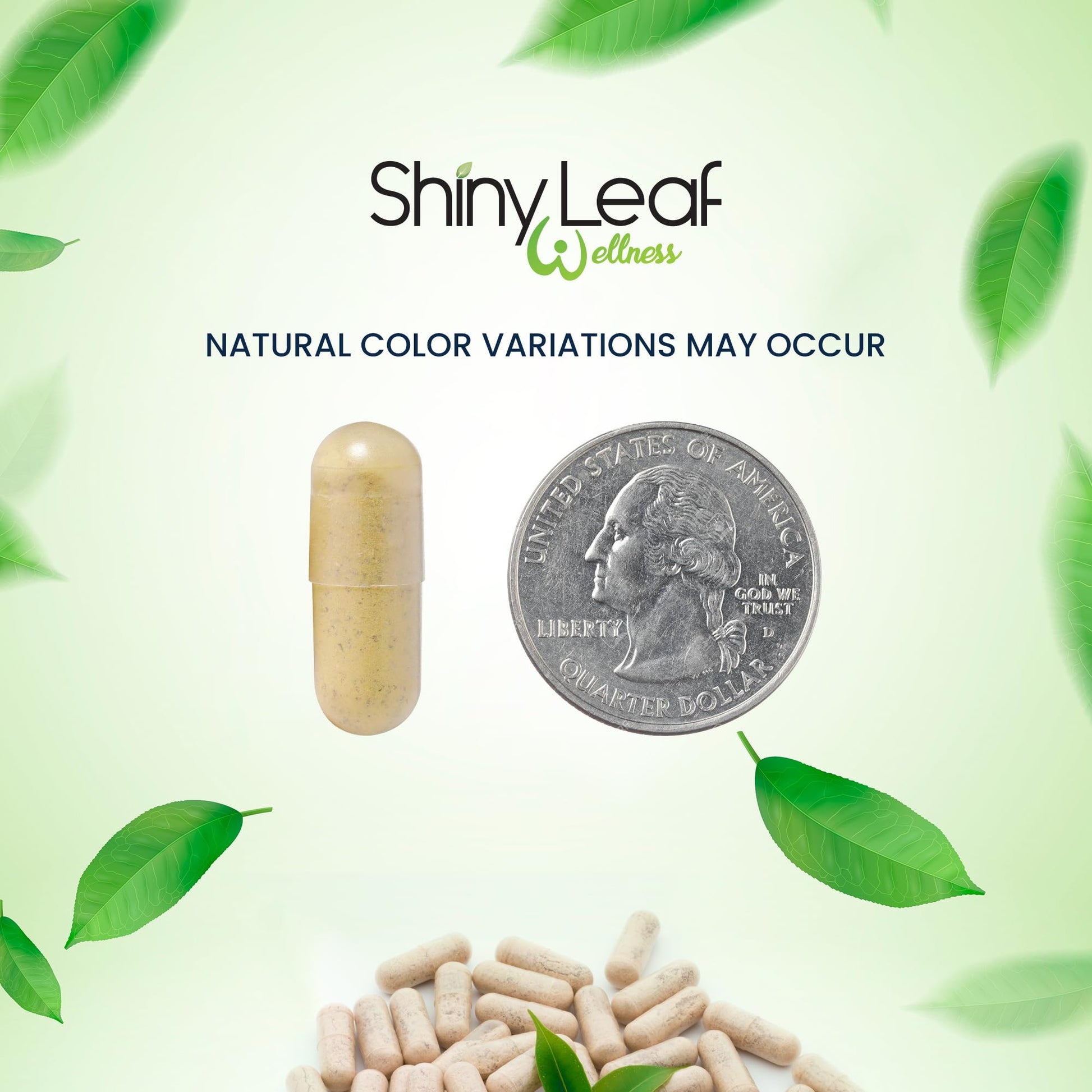 botellas de bariátricas multivitaminas Shiny Leaf