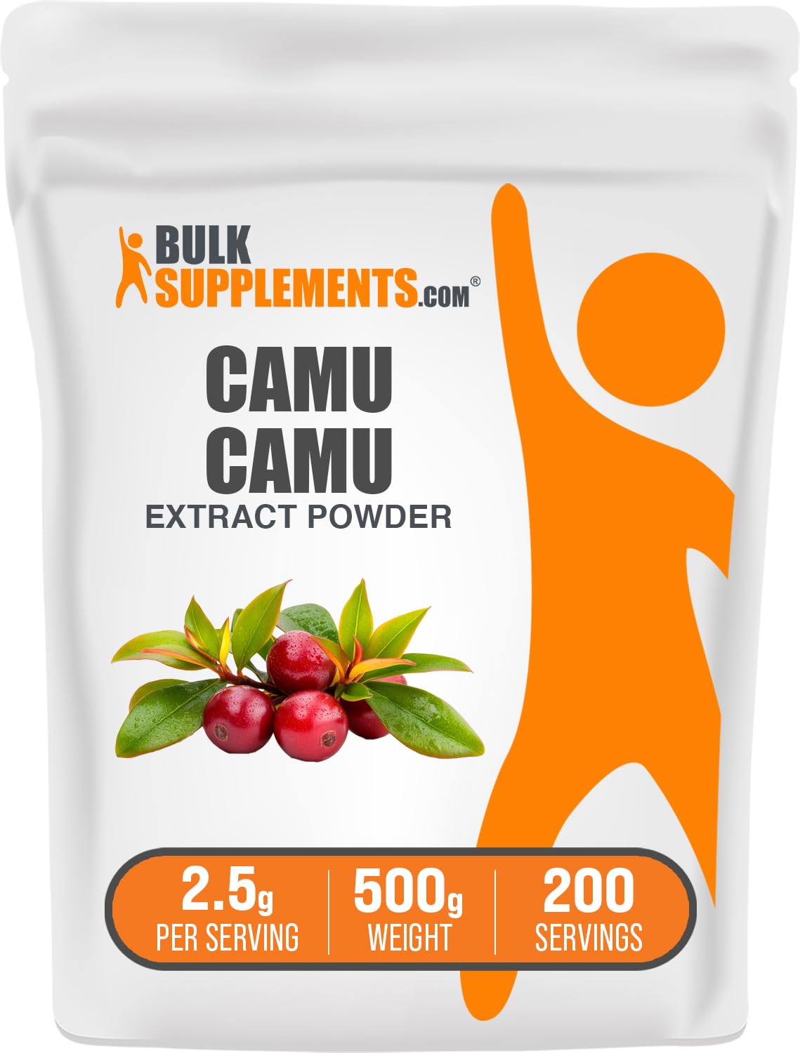 BulkSupplements polvo extracto Camu Camu 500g vegano