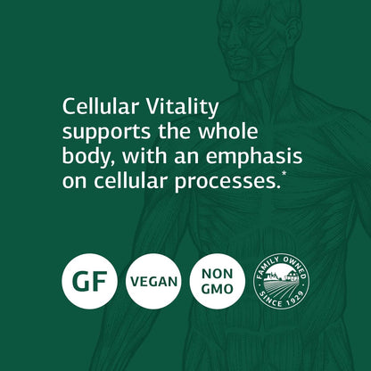 Caja Standard Process B Vitality con CoQ10