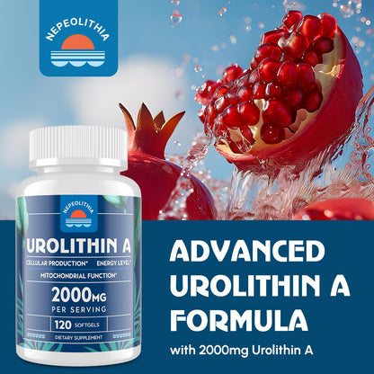 Caja suplemento Urolitina A Nepeolithia 2000 mg