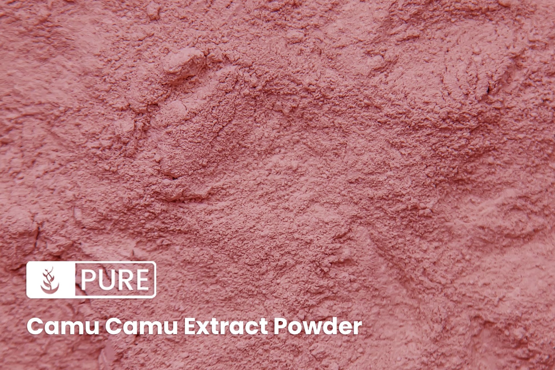 Camu Camu polvo superalimento brasileño vitamin c natural