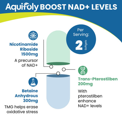 Cápsulas Aquifoly liposomal nicotinamida ribósido