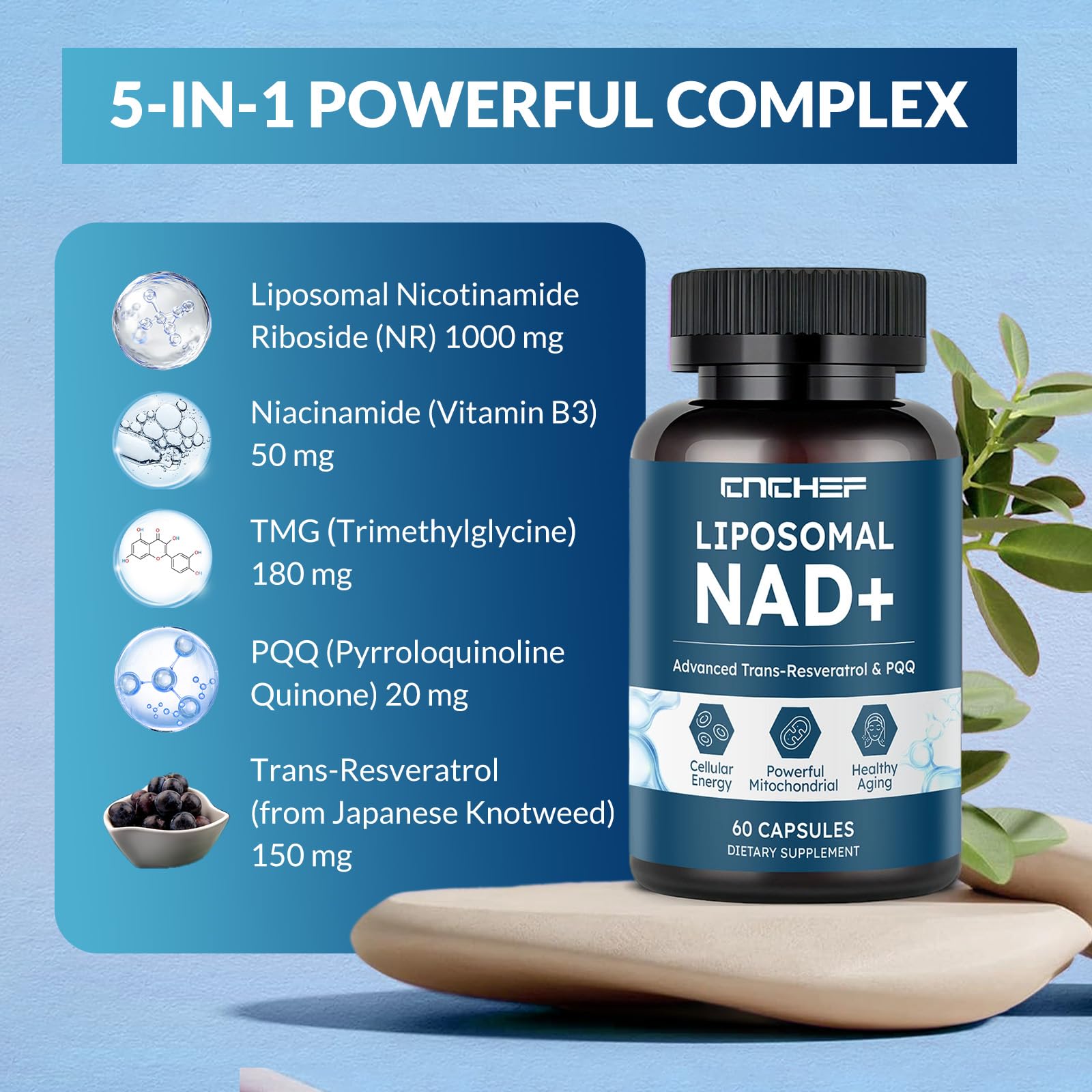 Cápsulas con fórmula antioxidante para energía y longevidad celular