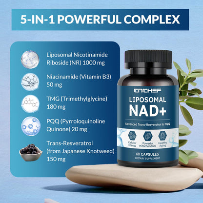 Cápsulas con fórmula antioxidante para energía y longevidad celular