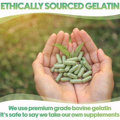 Manos sosteniendo cápsulas de gelatina verde de origen ético
